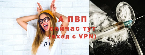 стаф Заполярный