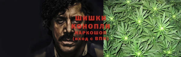 стаф Заполярный