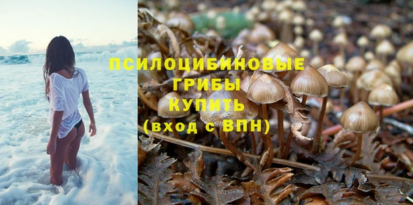 ПСИЛОЦИБИНОВЫЕ ГРИБЫ Ивантеевка