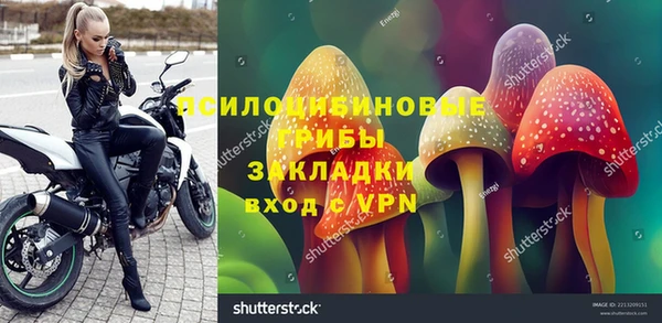 трава Новозыбков