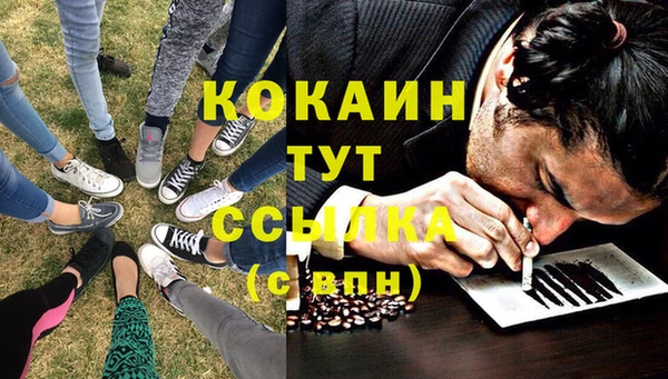 трава Новозыбков