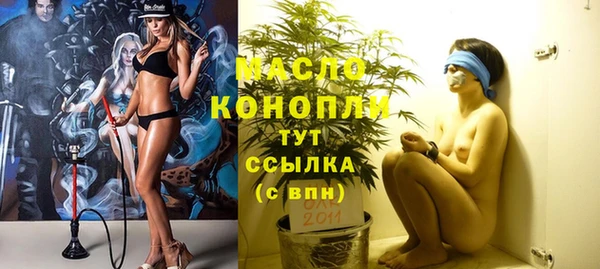 стаф Заполярный